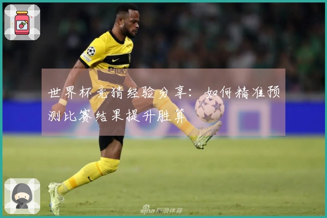 世界杯竞猜经验分享：如何精准预测比赛结果提升胜算