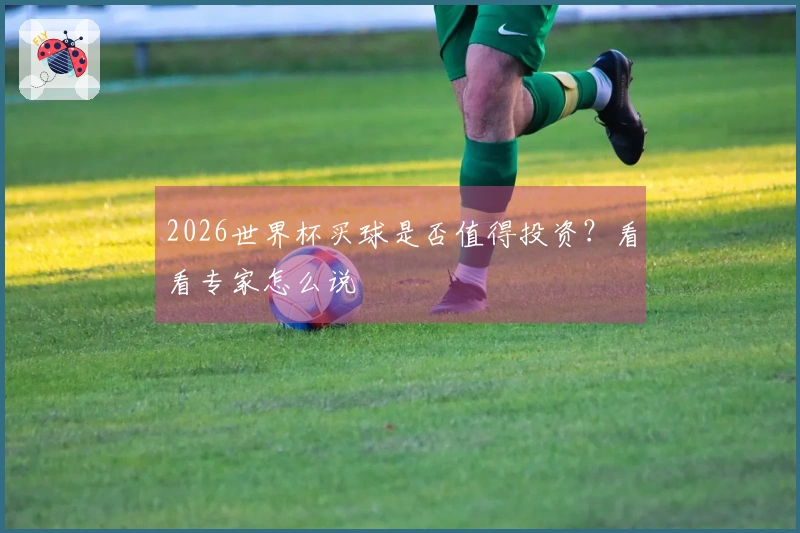 2026世界杯买球是否值得投资？看看专家怎么说