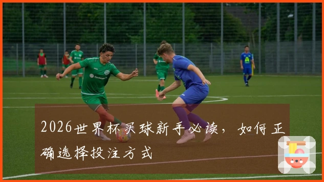 2026世界杯买球新手必读，如何正确选择投注方式