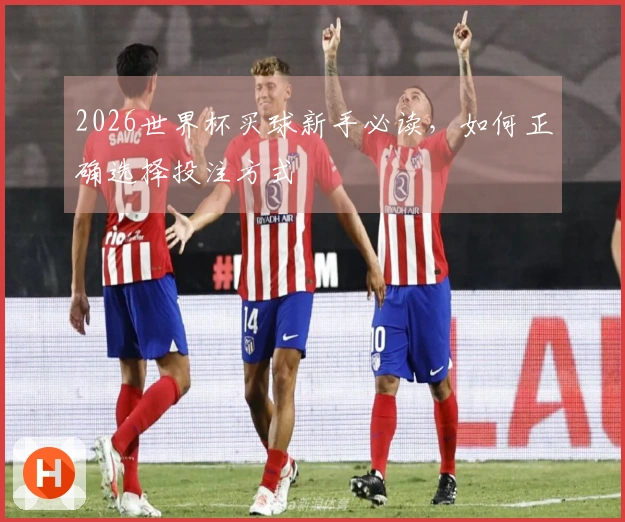 2026世界杯买球新手必读，如何正确选择投注方式