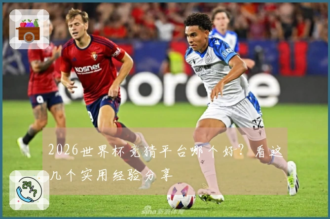 2026世界杯竞猜平台哪个好？看这几个实用经验分享