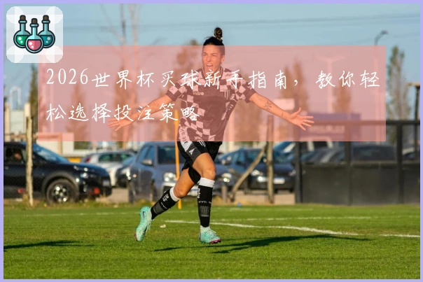 2026世界杯买球新手指南，教你轻松选择投注策略