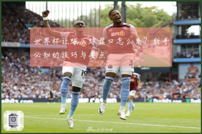 世界杯让球买球盘口怎么看？新手必知的技巧与要点