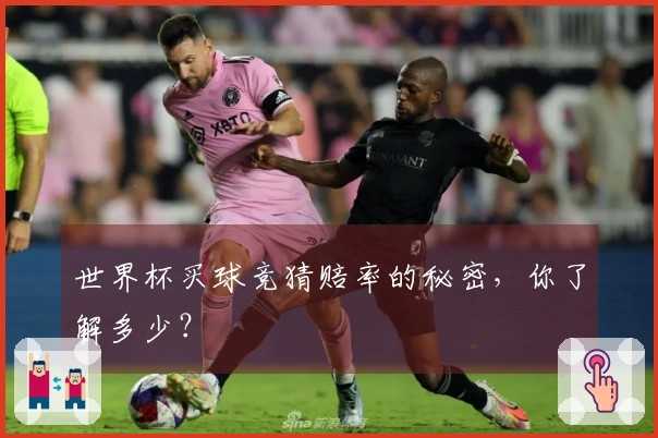 世界杯买球竞猜赔率的秘密，你了解多少？