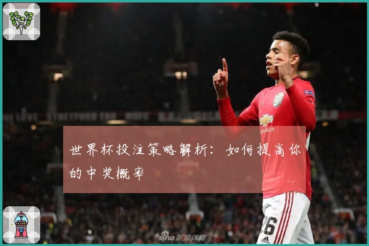 世界杯投注策略解析：如何提高你的中奖概率