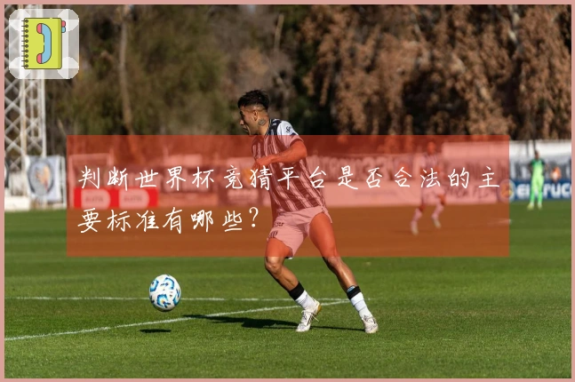 判断世界杯竞猜平台是否合法的主要标准有哪些？