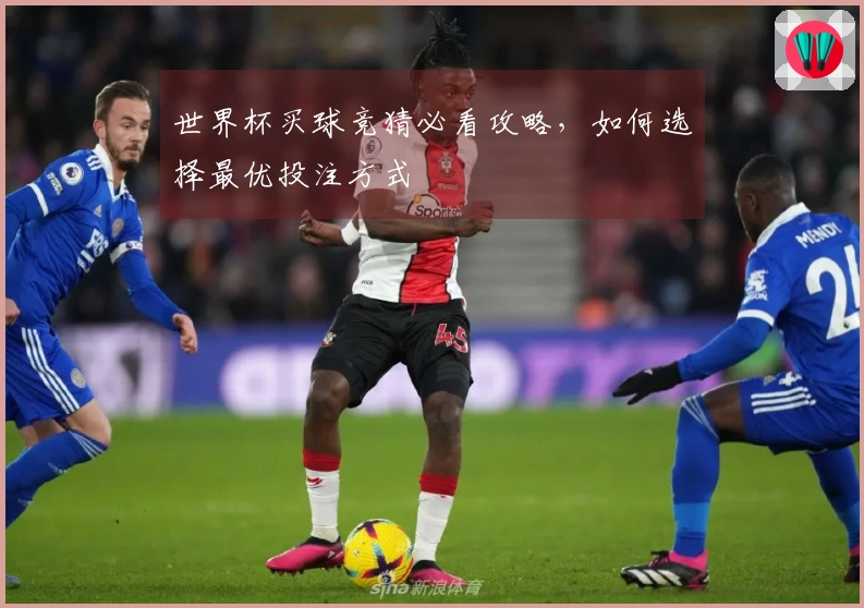 世界杯买球竞猜必看攻略，如何选择最优投注方式