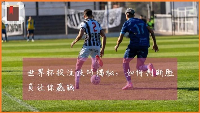 世界杯投注技巧揭秘，如何判断胜负让你赢钱