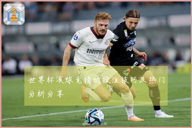 世界杯滚球竞猜的投注技巧及热门分析分享