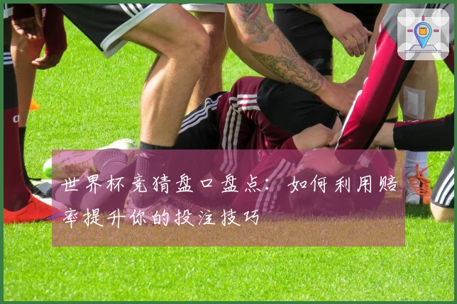 世界杯竞猜盘口盘点：如何利用赔率提升你的投注技巧