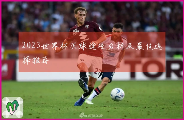 2023世界杯买球途径分析及最佳选择推荐