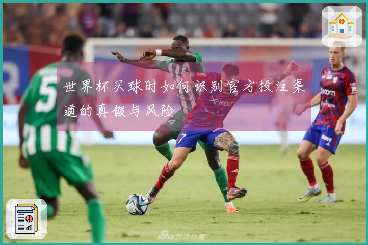 世界杯买球时如何识别官方投注渠道的真假与风险