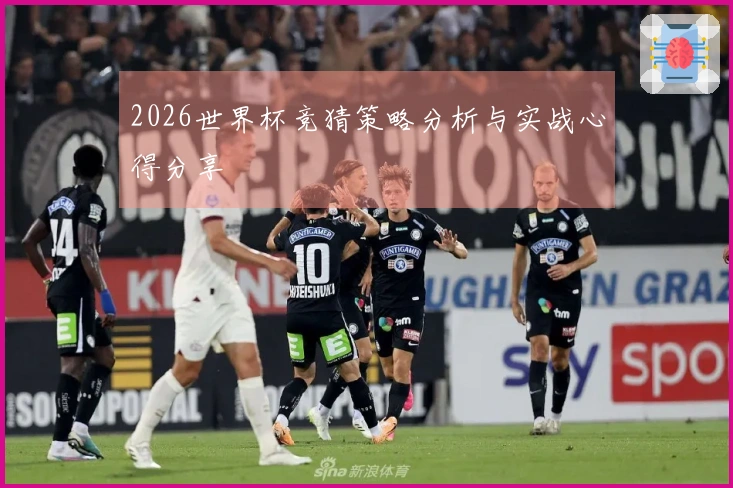 2026世界杯竞猜策略分析与实战心得分享