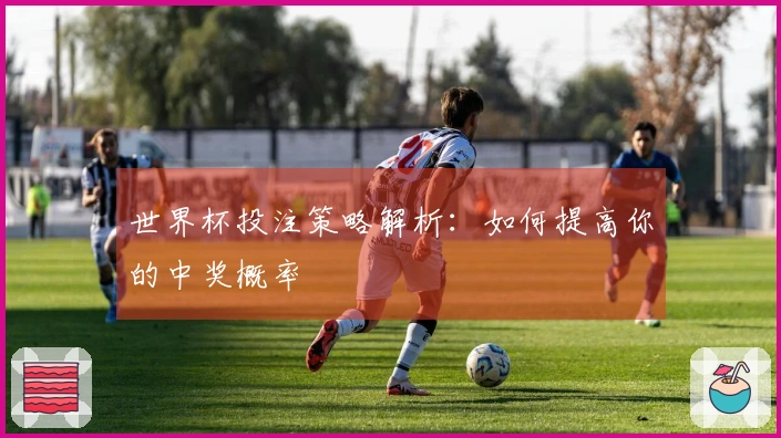 世界杯投注策略解析：如何提高你的中奖概率