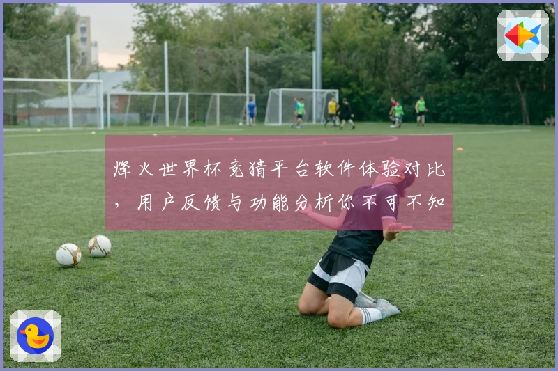 烽火世界杯竞猜平台软件体验对比，用户反馈与功能分析你不可不知