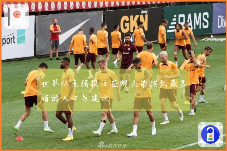 世界杯竞猜投注在哪儿能找到最靠谱的入口与建议
