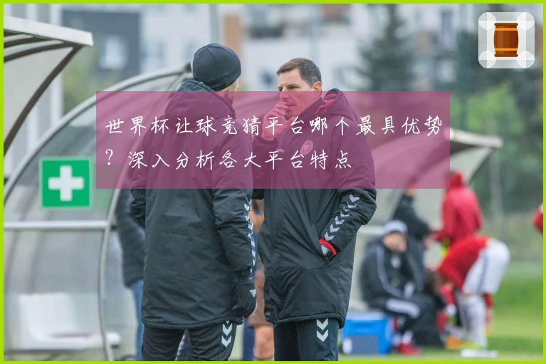世界杯让球竞猜平台哪个最具优势？深入分析各大平台特点