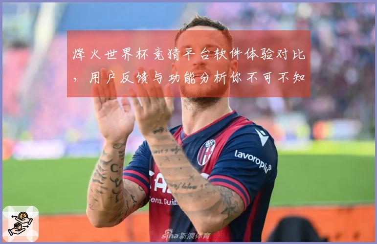烽火世界杯竞猜平台软件体验对比，用户反馈与功能分析你不可不知
