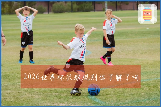 2026世界杯买球规则你了解了吗