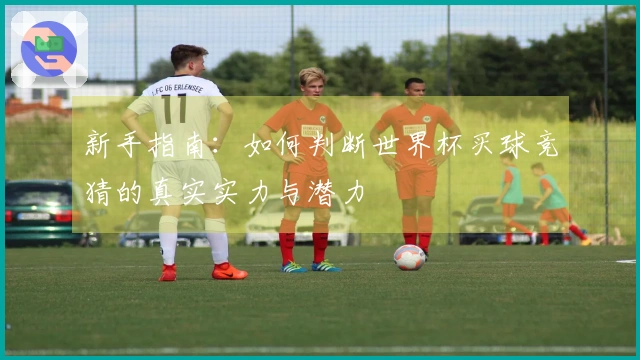 新手指南：如何判断世界杯买球竞猜的真实实力与潜力