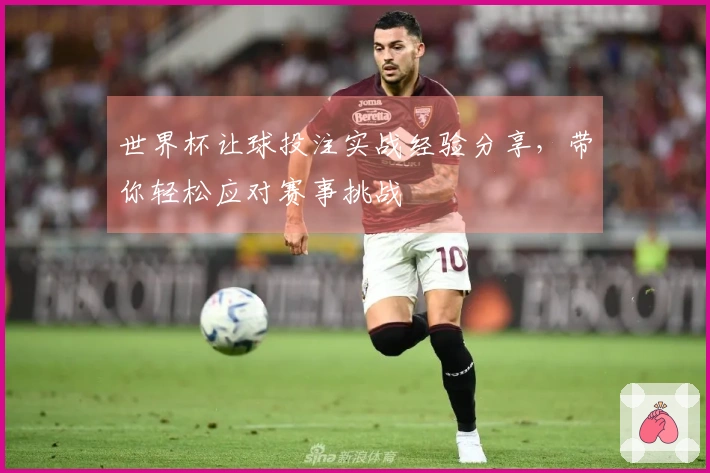 世界杯让球投注实战经验分享，带你轻松应对赛事挑战
