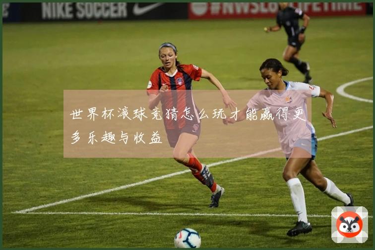 世界杯滚球竞猜怎么玩才能赢得更多乐趣与收益