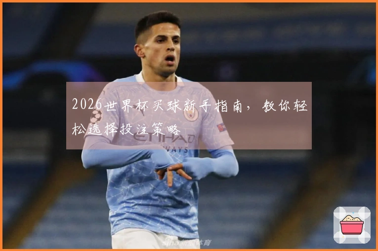 2026世界杯买球新手指南，教你轻松选择投注策略