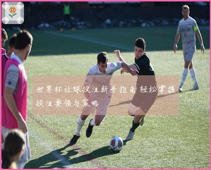 世界杯让球投注新手指南 轻松掌握投注要领与策略