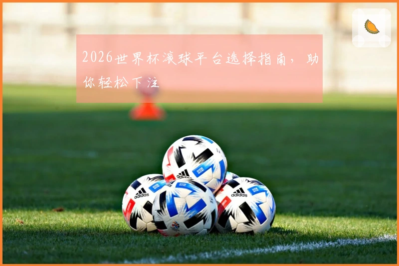 2026世界杯滚球平台选择指南，助你轻松下注