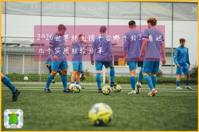 2026世界杯竞猜平台哪个好？看这几个实用经验分享